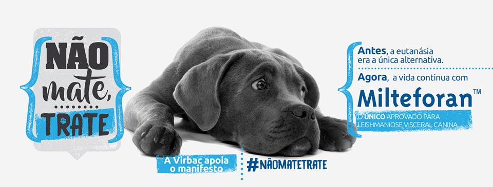 Agosto é o mês de combate à Leishmaniose Visceral Canina e tem manifesto nas redes sociais