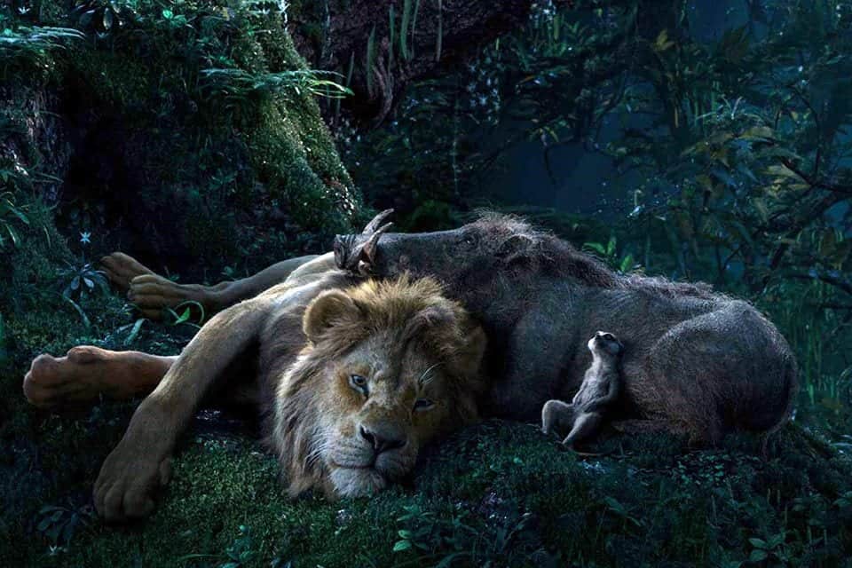 Pré-venda online de “O Rei Leão” é sucesso na Ingresso.com