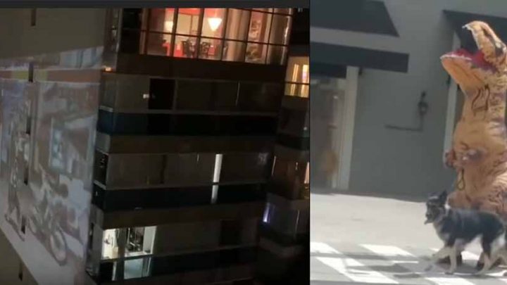 Morador projeta jogo de Street Fighter em prédio, e dino sai para passear com o pet durante quarentena