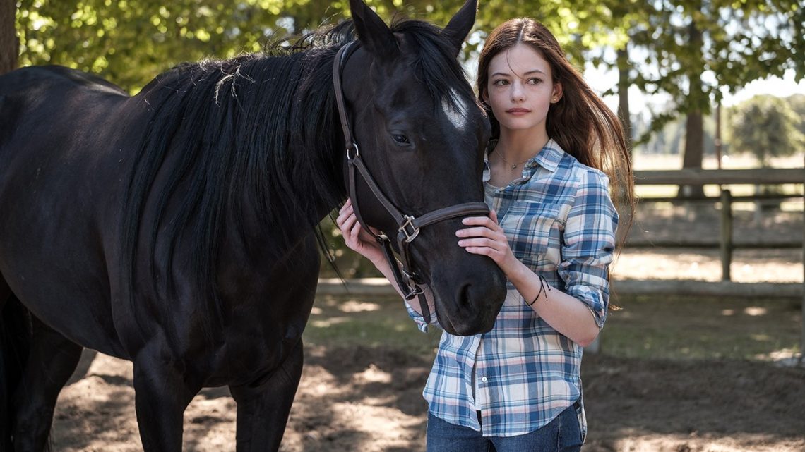 Beleza Negra estreia no Disney +